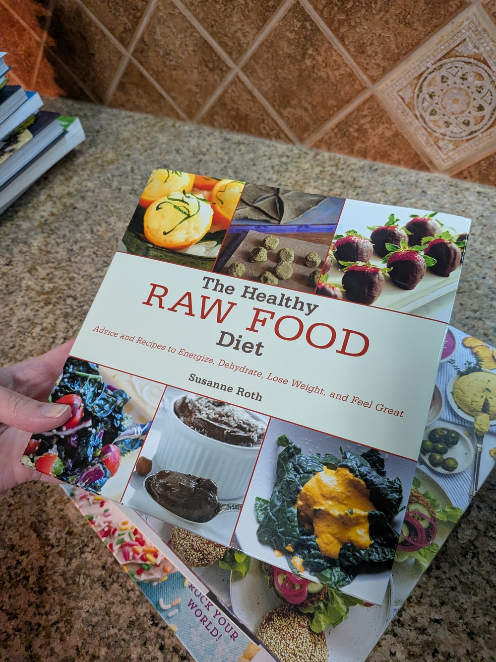 The Healthy Raw Food Diet Cookbook
